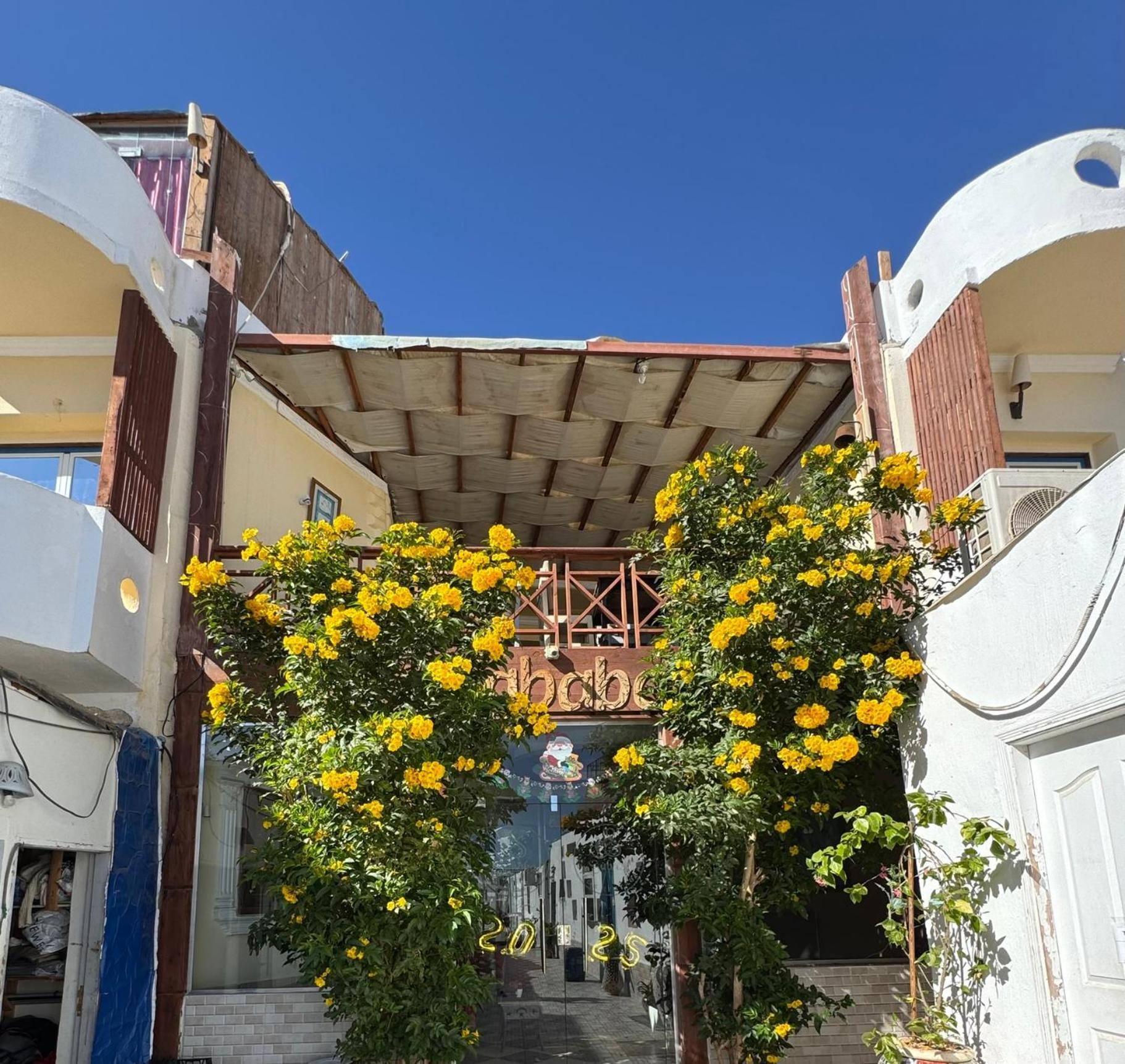 Sababa Hotel Dahab Exterior photo